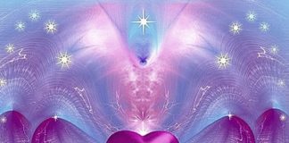 l’Amour Est la Seule Véritable Âme… dont Chacun d’entre Vous est Issu